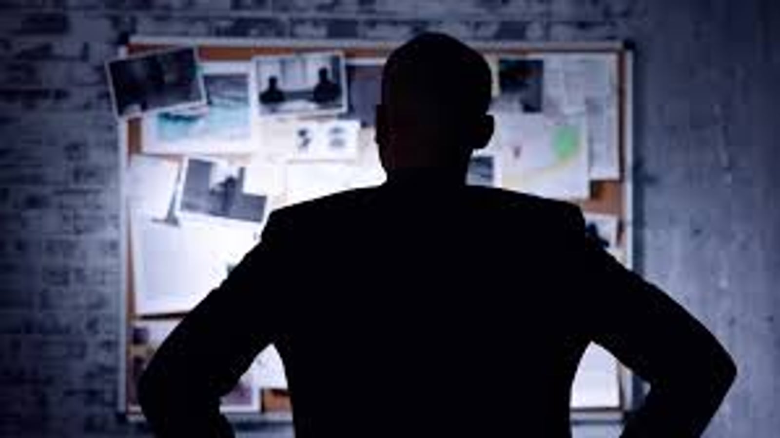 Terms of Service — Emerging Investigations