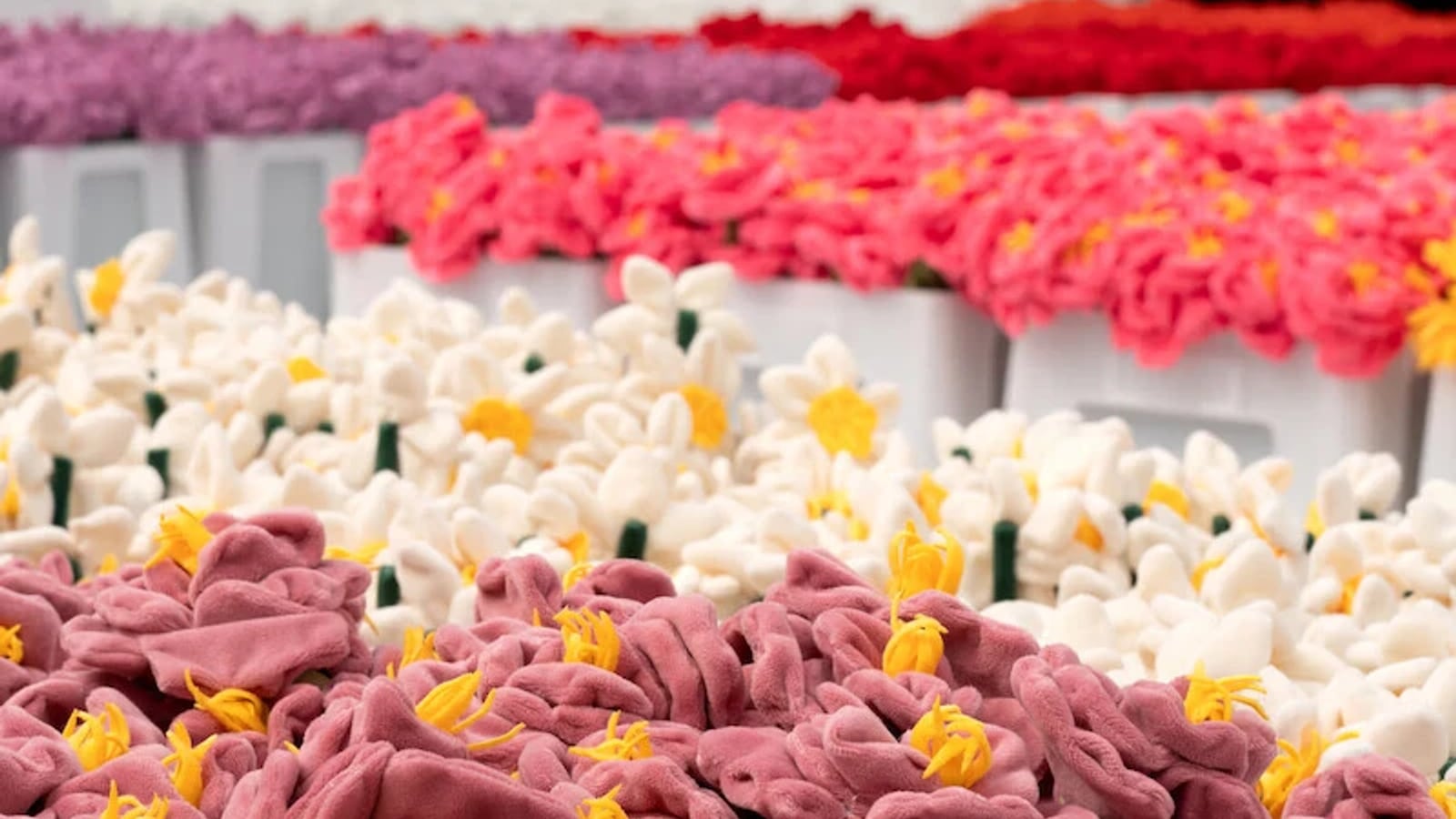 Private Investigator in Hillsborough County โ Emerging Investigations