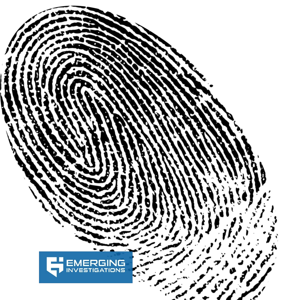 Private investigators in Florida gathering evidence — Emerging Investigations field team